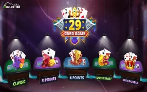 29 card game